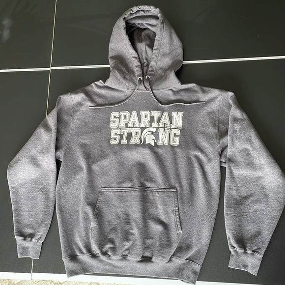 Grey Spartan Hoodie | Grey Spartan Strong Hoodie - Picture 1 of 8